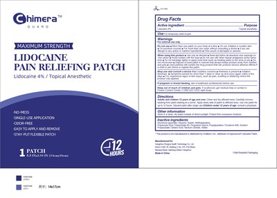 Patch (Patch)