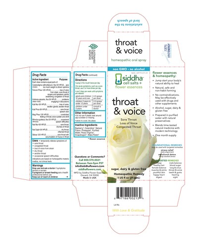 Throat And Voice Carton (Throatandvoicecarton)
