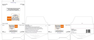 ropivacaine-fig2.jpg PACKAGE LABEL-PRINCIPAL DISPLAY PANEL-0.2% (2 mg/mL) - 20 mL Container-Carton (25 Vials) - ropivacaine fig2