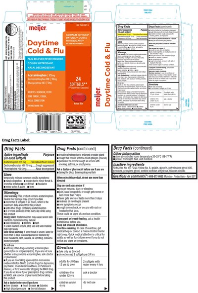 794810827-1.jpg Daytime Cold and Flu - 794810827 1