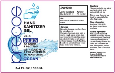 sanitizer-01.jpg PRINCIPAL DISPLAY PANEL - 100 mL Bottle Label - sanitizer 01