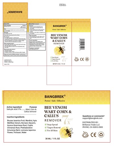 Bee_venom.jpg Bee_venom.jpg - Bee venom