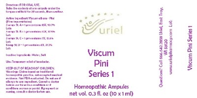 ViscumPiniIscucinSeries1Ampules.jpg ViscumPiniIscucinSeries1Ampules