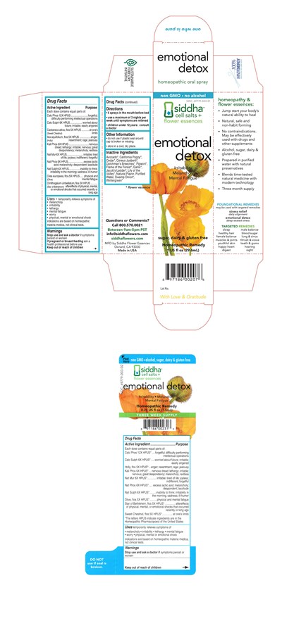 Emotional Detox Carton - EmotionalDetoxCarton