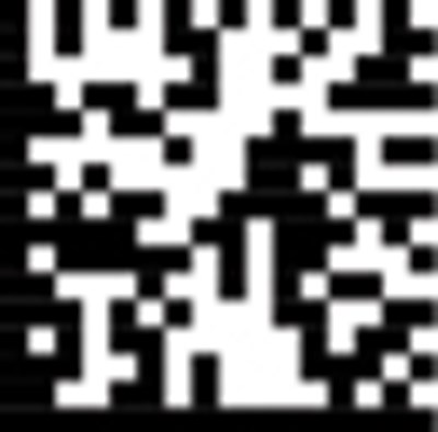 Pi 2d Barcode