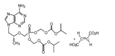 Tenofovir Disoproxil Fumarate (Image 2)