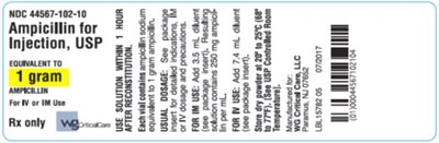Ampicillin for Injection, USP 1 g label image - image 04