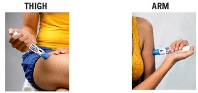 Fig3 (Fig3)
