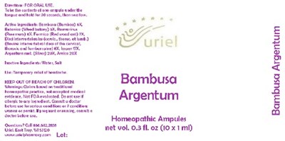 BambusaArgentumAmpules.jpg bambusaargentumampules - BambusaArgentumAmpules