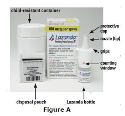 Figure (Lazanda 05)