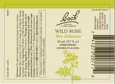 Principal Display Panel (20 mL Bottle Label)