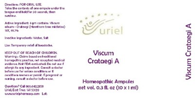 ViscumCrataegiAAmpules.jpg ViscumCrataegiAAmpules