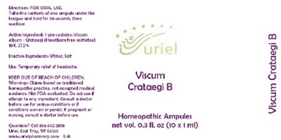 ViscumCrataegiBAmpules.jpg ViscumCrataegiBAmpules