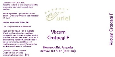 ViscumCrataegiFAmpules.jpg ViscumCrataegiFAmpules