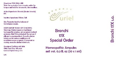 Bronchi17SOAmpules.jpg Bronchi17SOAmpules