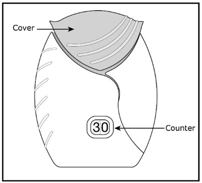 Figure C (Ff Vil Spl Graphic 16)