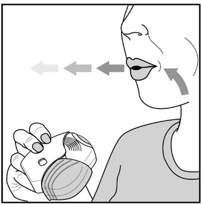 Figure E (Ff Vil Spl Graphic 18)