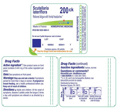 Label (Scutellaria Lateriflora 200ck Label)