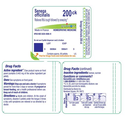 Label (Senega Officinalis 200ck Label)