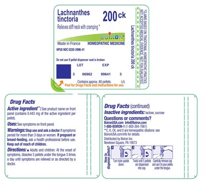 Lachnanthes_tinctoria_200ck-label.jpg Label - Lachnanthes tinctoria 200ck label