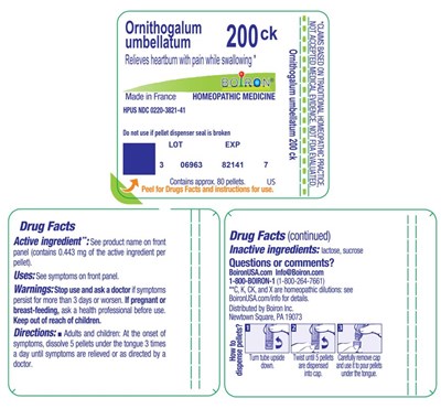 Ornithogalum_umbellatum_200ck-label.jpg label - Ornithogalum umbellatum 200ck label