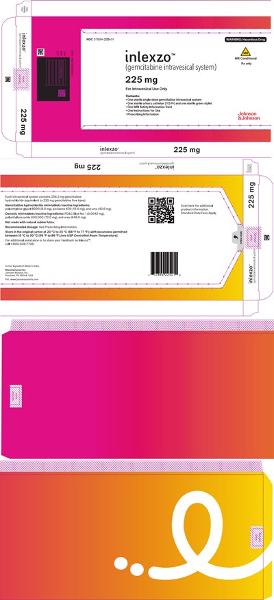 PRINCIPAL DISPLAY PANEL - 225 mg Intravesical System Box - inlexzo 34