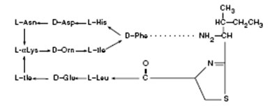 Bacitracin Zinc (structural Formula) (B9cc175c 465e 4752 Bd5f Cf56ba81b873 03)