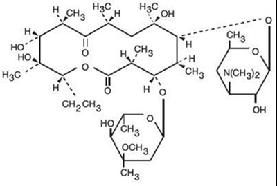 erythromycin-structure - erythromycin structure