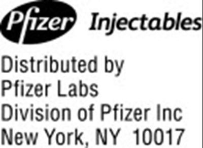 zithromax-iv-02.jpg Logo - zithromax iv 02