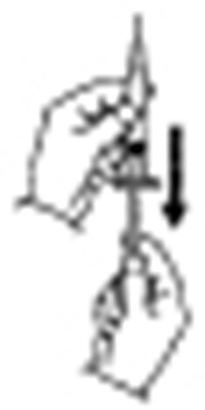 Figure 3 - ribavirin 03