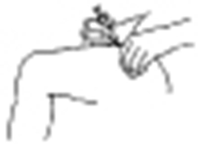 Figure 9 - ribavirin 09