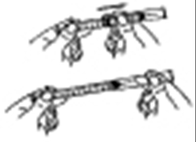 Figure 10 - ribavirin 10