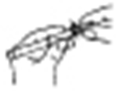 Figure 14 - ribavirin 14