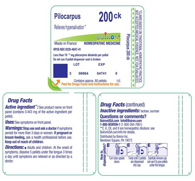 Pilocarpus_200ck-label.jpg label - Pilocarpus 200ck label