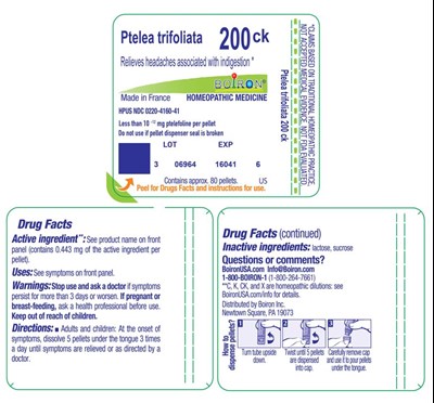 Ptelea_trifoliata_200ck-label.jpg label - Ptelea trifoliata 200ck label