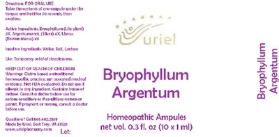 Bryophyllumargentumampules