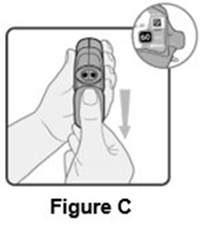 Instructions for Use Figure C - image 10