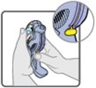 Wixela Inhalation Powder 100/50 Carton Label - image 25