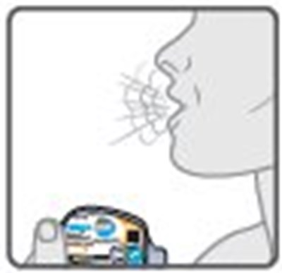 Wixela 250/50 Carton Label Step 3b - image 26