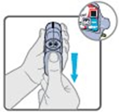 Wixela 250/50 Carton Label Step 4 - image 30