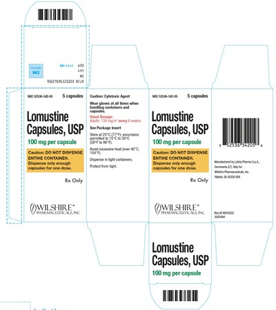 100mg-carton (100mg Carton)
