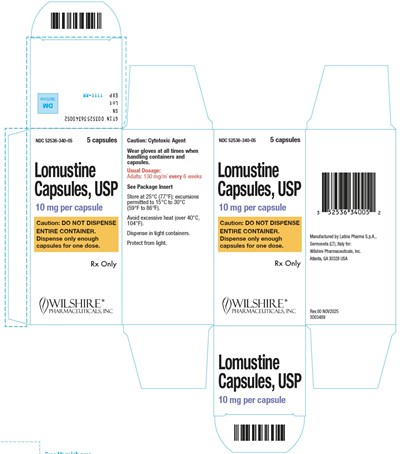 10mg-carton (10mg Carton)