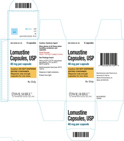 40mg-carton (40mg)