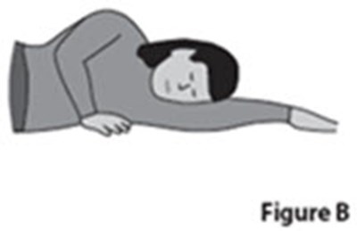 Ifu Figure B-3 (Image 05)
