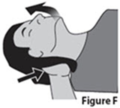 Ifu Figure F (Image 09)