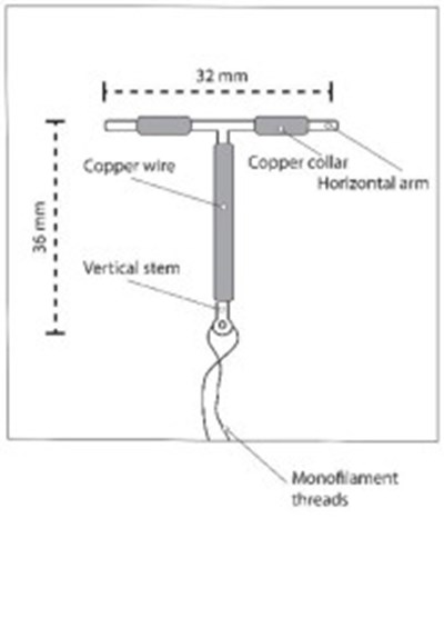 Figure 2 (Par07 0000 02)