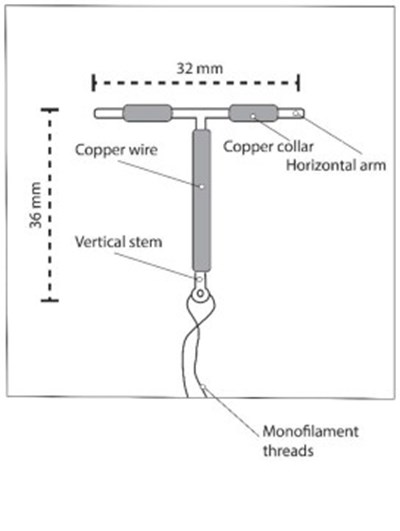 par07-0000-11.jpg Figure - par07 0000 11