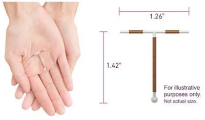 par07-0000-13.jpg Figure - par07 0000 13