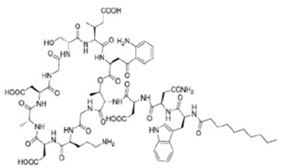 Daptomycinestructure (Daptomycinestructure)