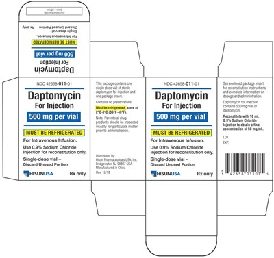 hisun-daptomycin-02.jpg Carton - hisun daptomycin 02
